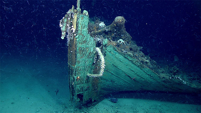 A sunken ship