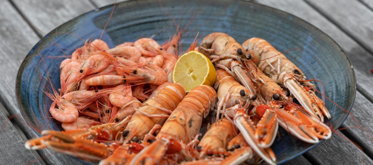 Freshly caught saltwater crayfish and prawn in a handmade blue bowl.