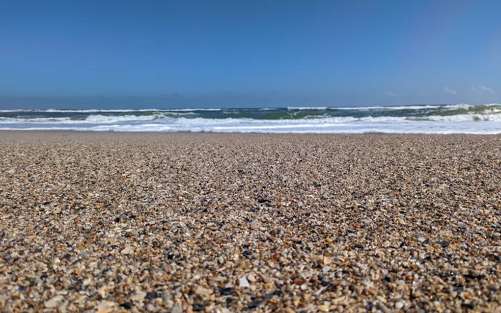 A magnificent shell-encrusted shoreline along Little Talbot Island State Park – Jacksonville, Florida