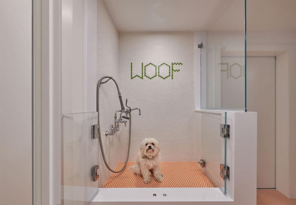 Rinse and Repeat: The Walk-In Shower That Works Overtime pet spa