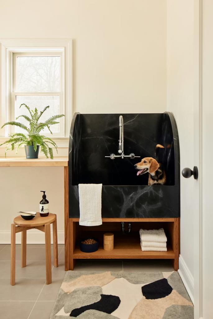 Playful Small-Space Pet-Spa Conversion
