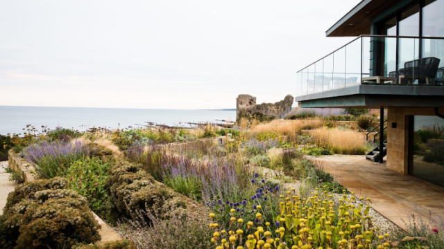 A blooming coastal garden at a seaside home with ocean beyond