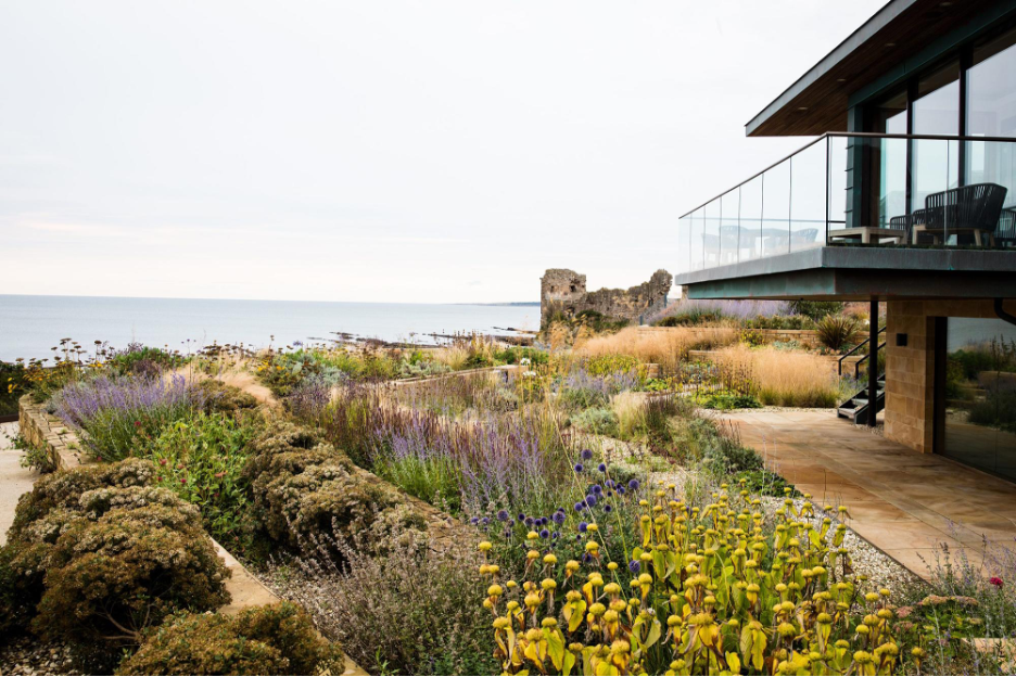 A blooming coastal garden at a seaside home with ocean beyond