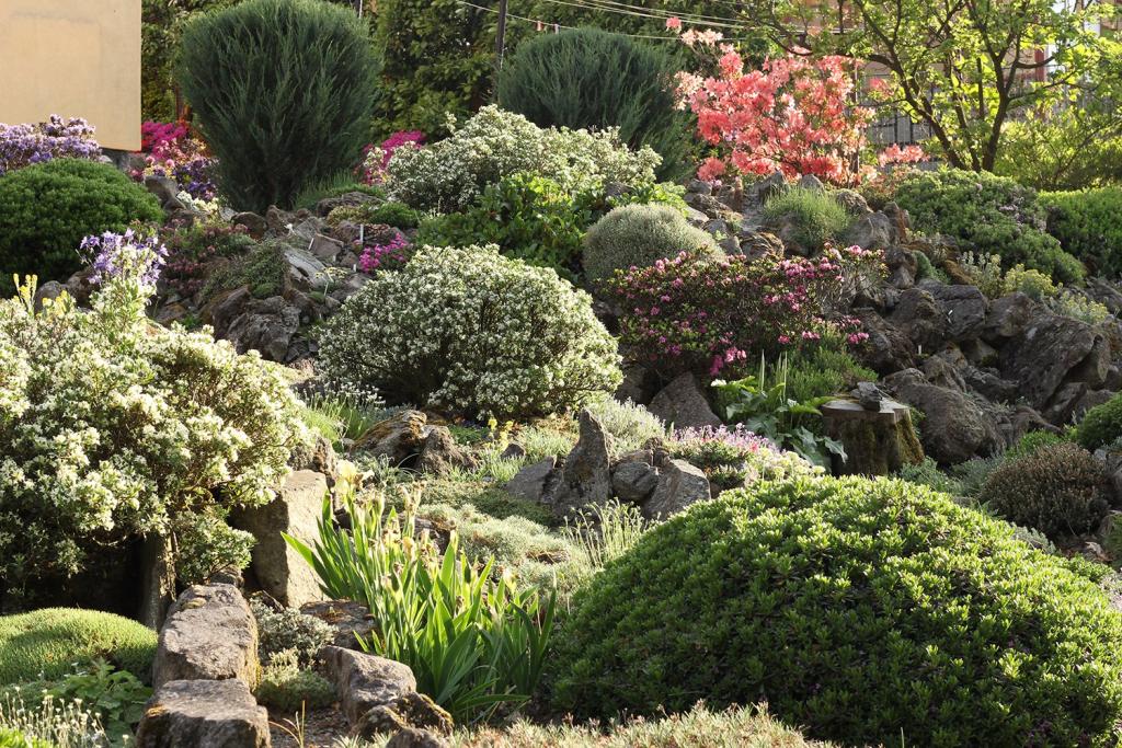 Hillside Rock Garden
