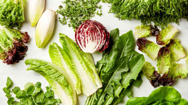 Image of various lettuce varieties displayed on white background