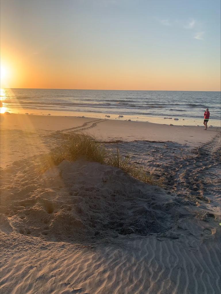 Loggerhead sea turtle nest along shores of Hunting Island State Park, SC
