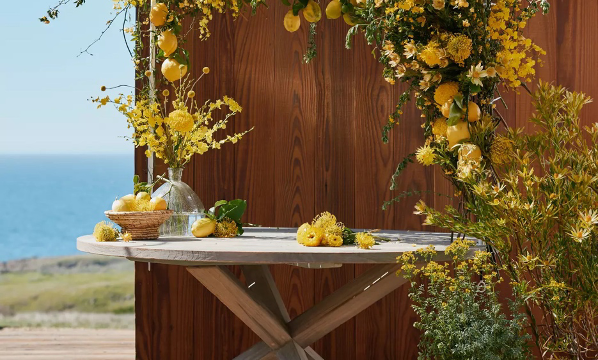 Over-the-table garden trellis in a beach home setting