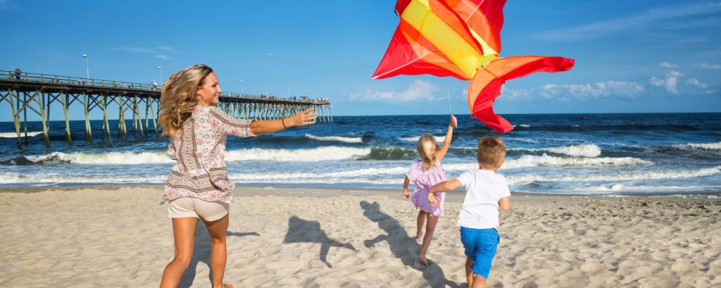 Fly a Kite or Learn the Art of Beach Kiting